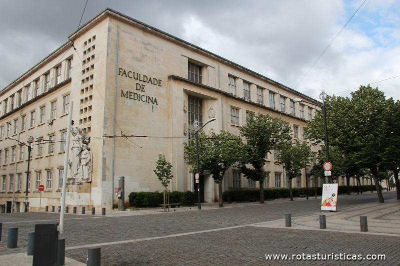 Faculdade De Medicina Da Universidade De Coimbra