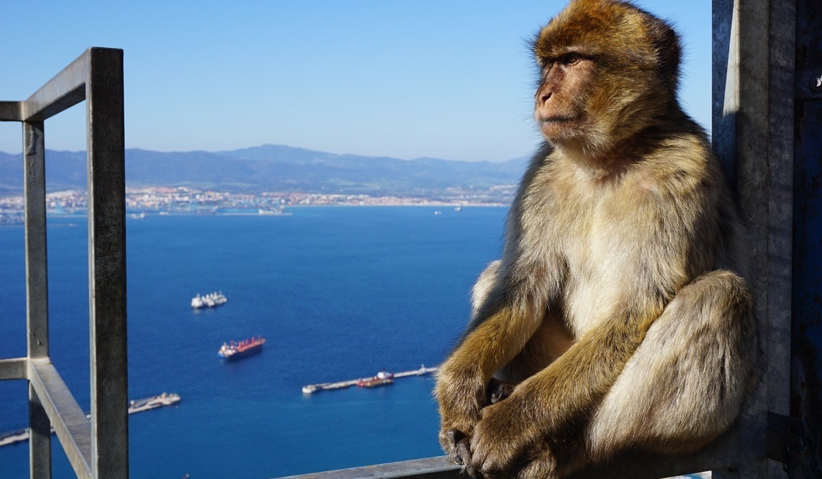 Excursión de 1 día a Gibraltar con salida de Portimão